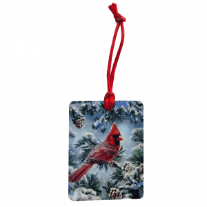 Cardinal 1