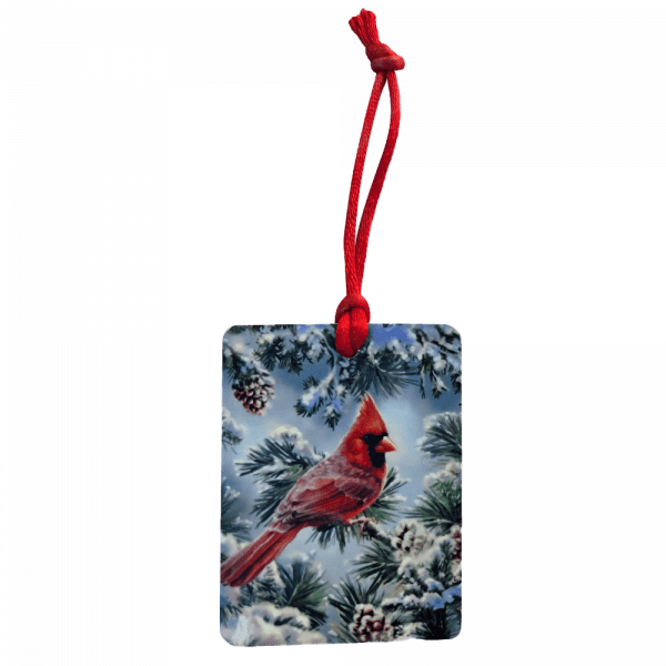Cardinal 1